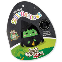 Select Series 2-Pack: Wicked Witch + Winged Monkey - 5