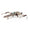 STAR WARS™ Micro Galaxy Squadron Starfighter Class Collection (Series 8) - 17
