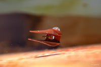 STAR WARS™ Micro Galaxy Squadron Geonosian Starfighter - 7