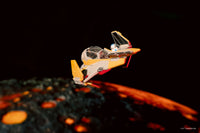 STAR WARS™ Micro Galaxy Squadron Light Armor Class Collection (Series 8) - 6