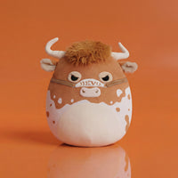 University of Texas 12-Inch Bevo XV - 1